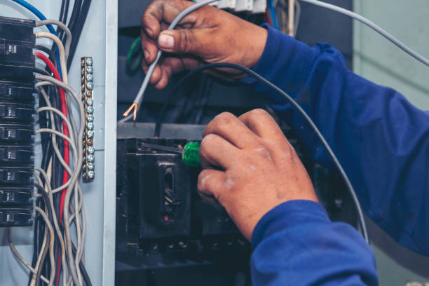 Best Electric Panel Repair  in Mikes, TX